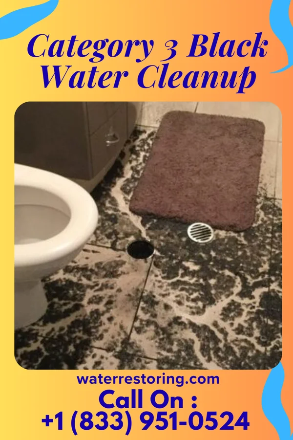 Category 3 Black Water Cleanup in Round Lake, IL