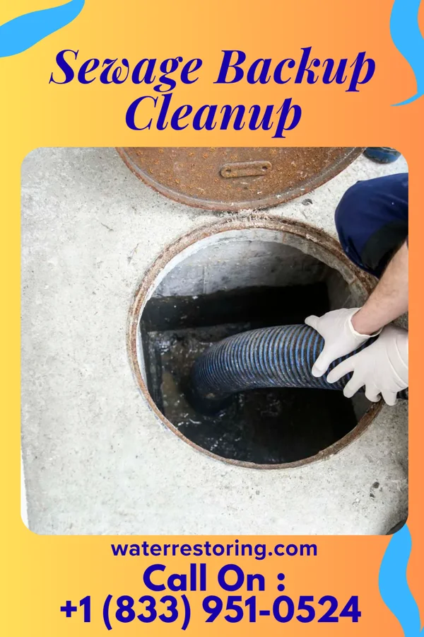 Sewage Backup Cleanup in Round Lake, IL