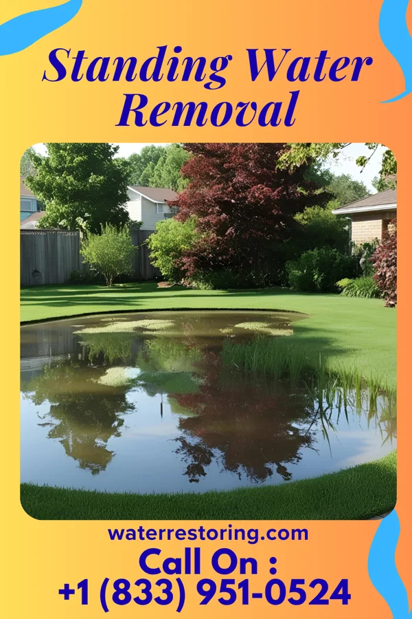 Standing Water Removal in Round Lake, IL